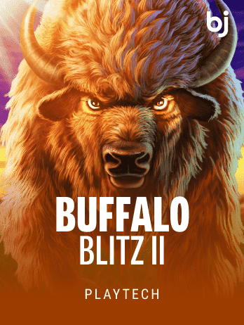 Buffalo Blitz II thumbnail